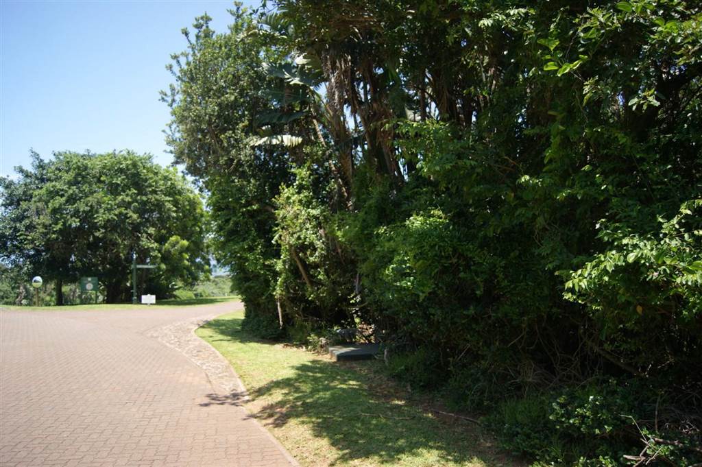 1023 m² Land available in Princes Grant Golf Estate photo number 13