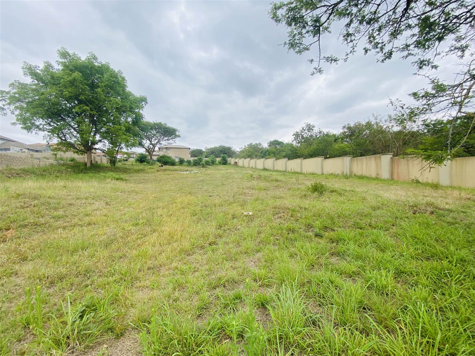 1329 m² Land available in Drum Rock photo number 3