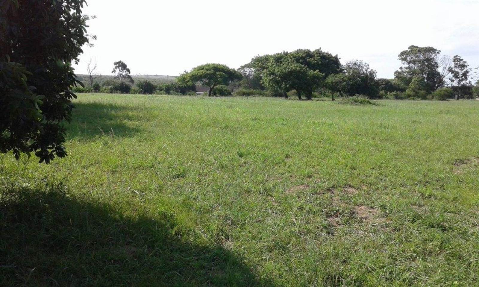 10.4 ha Land available in Mtubatuba photo number 5