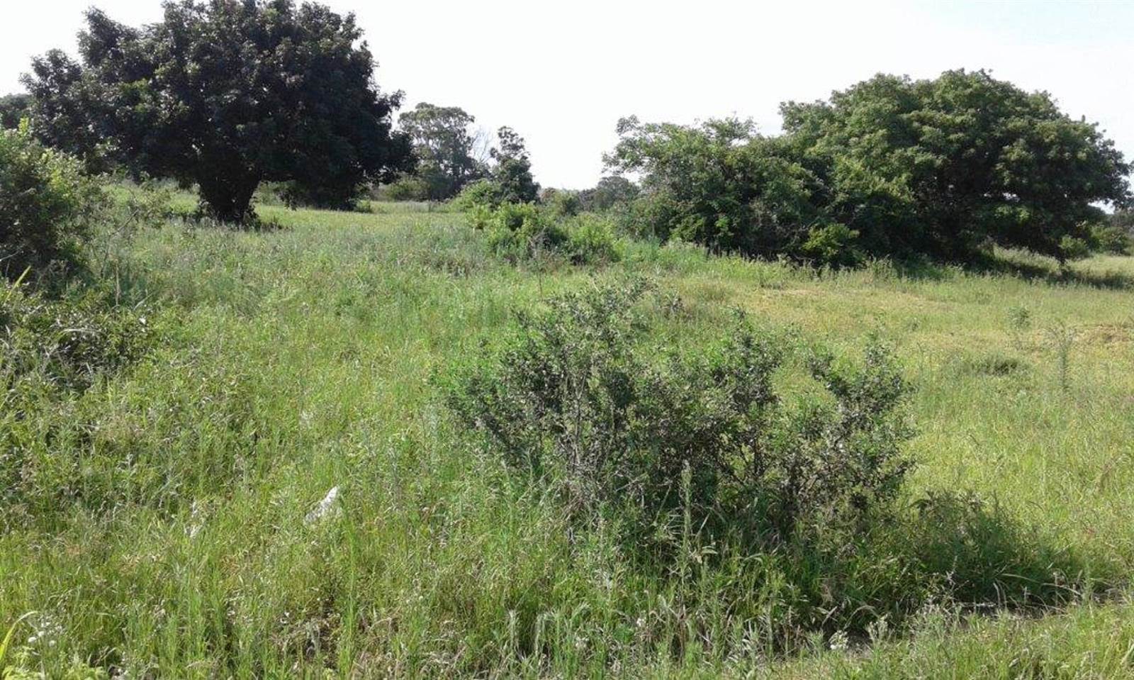 10.4 ha Land available in Mtubatuba photo number 8