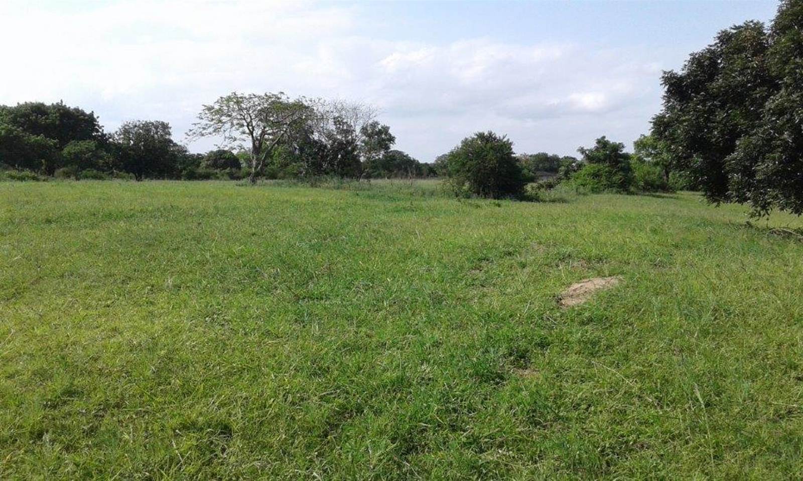 10.4 ha Land available in Mtubatuba photo number 4