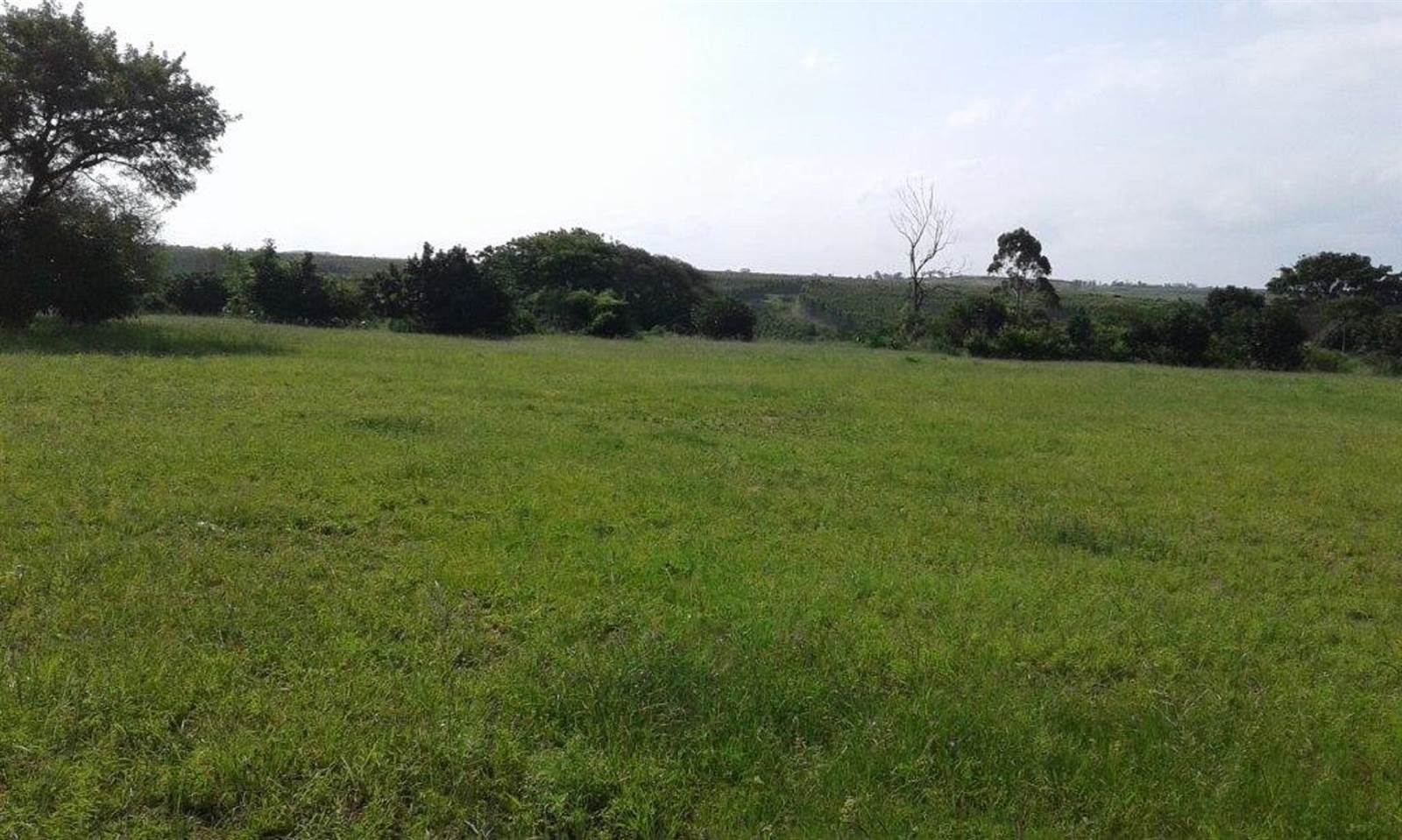 10.4 ha Land available in Mtubatuba photo number 1
