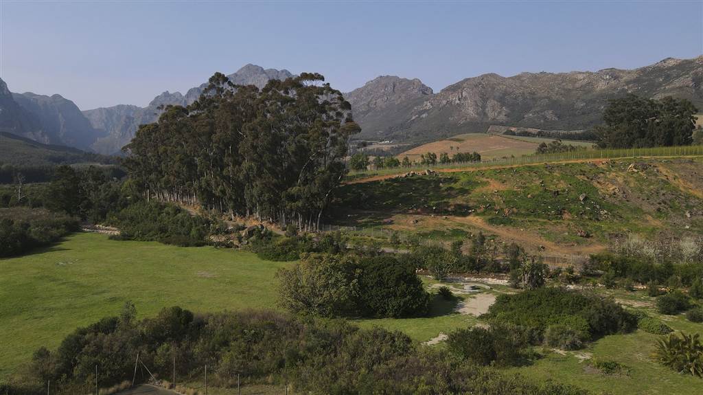 4 ha Agricultural Holding in Stellenbosch Agricultural photo number 21