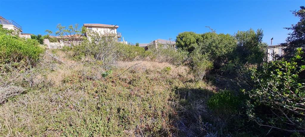 750 m² Land available in Dana Bay photo number 7