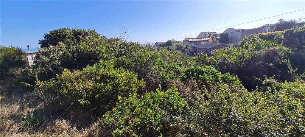 750 m² Land available in Dana Bay photo number 8