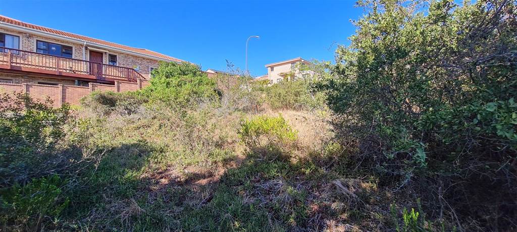 750 m² Land available in Dana Bay photo number 6
