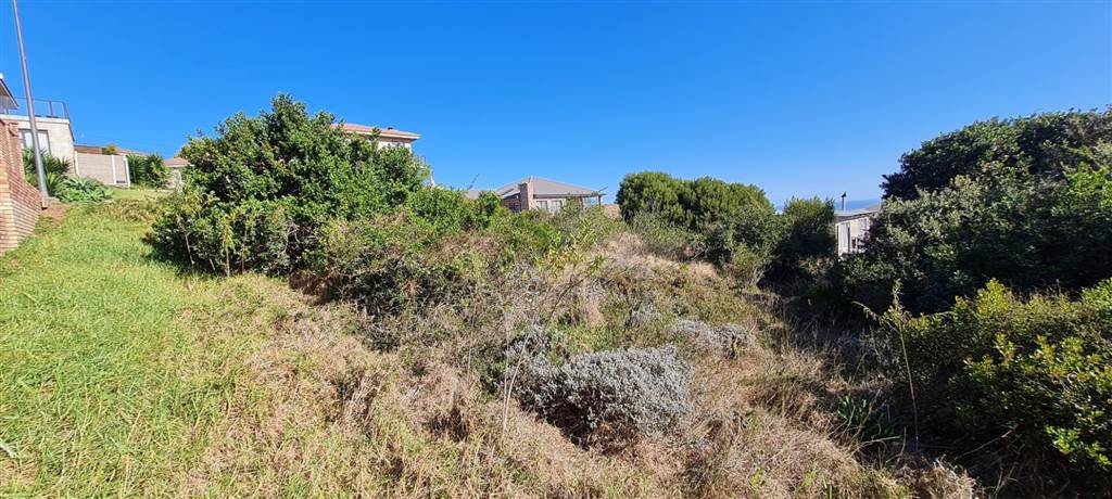 750 m² Land available in Dana Bay photo number 9