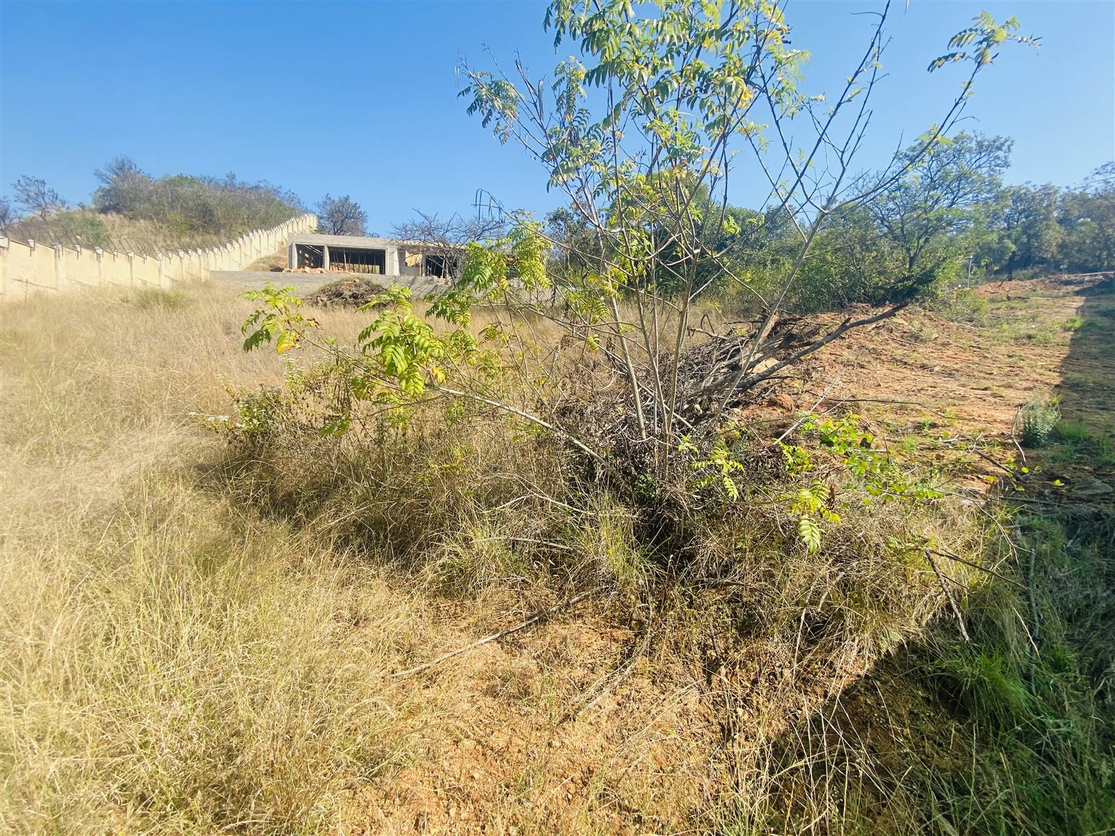 1295 m² Land available in Drum Rock photo number 7