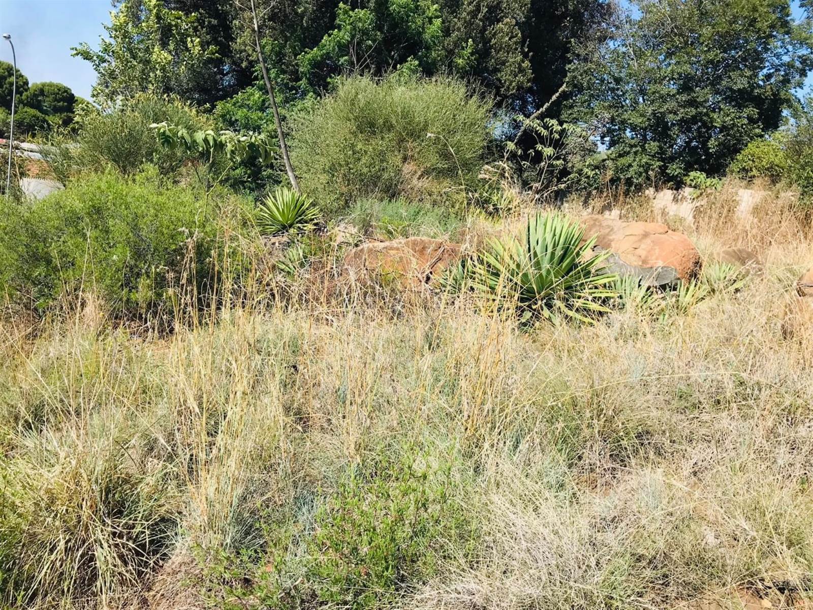 1242 m² Land available in Uitsig photo number 4