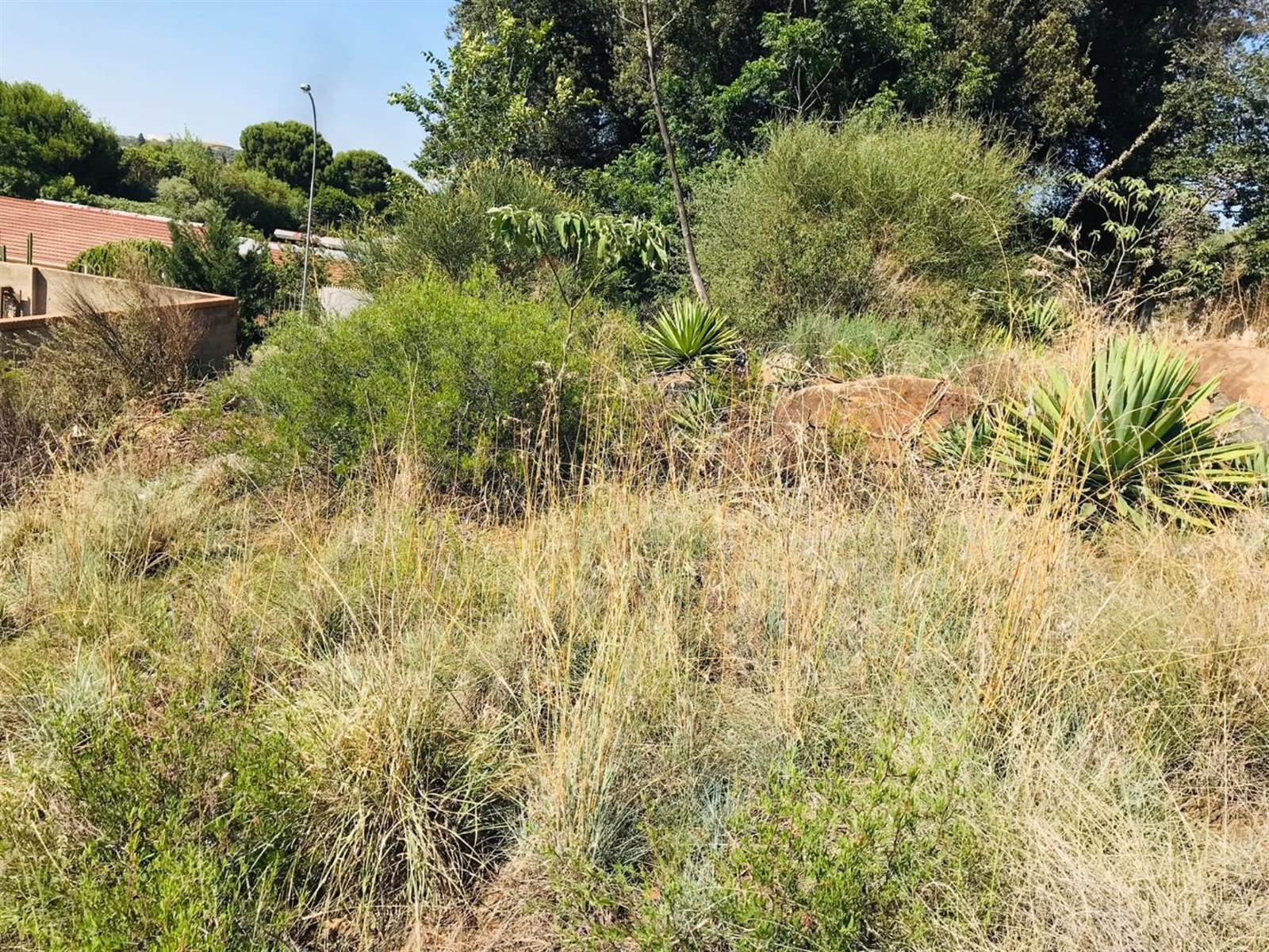 1242 m² Land available in Uitsig photo number 2