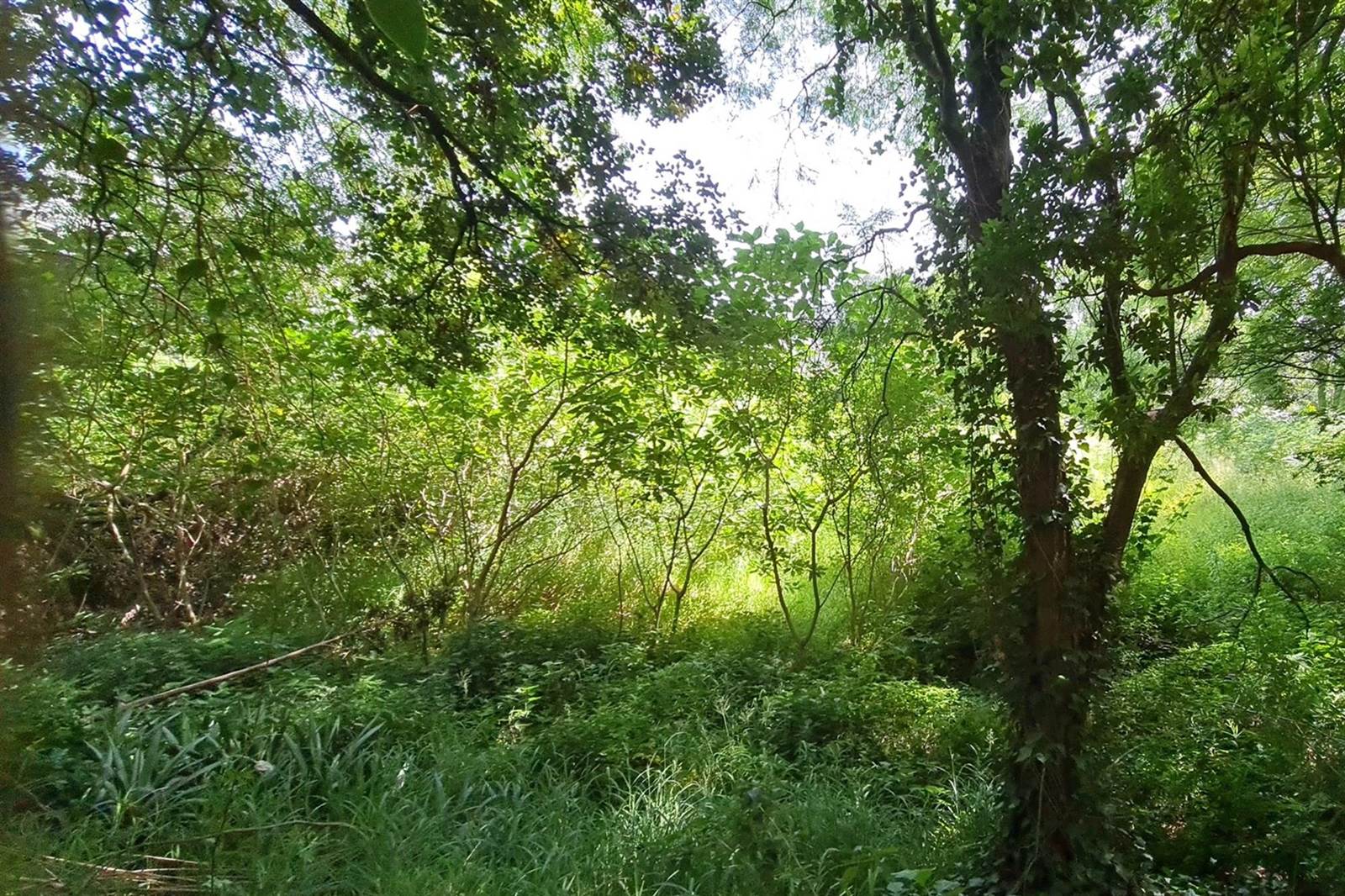 8565 m² Land available in Sandhurst photo number 6