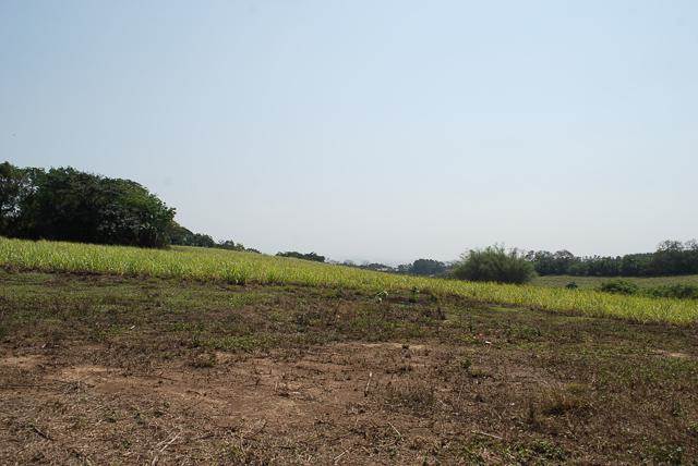 7 ha Land available in Umhlali photo number 10