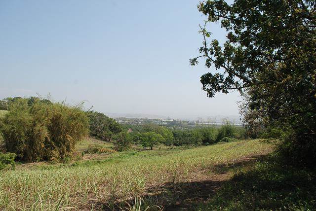 7 ha Land available in Umhlali photo number 5