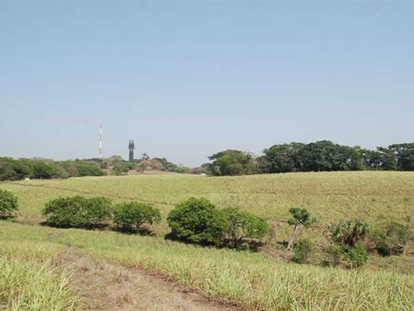 7 ha Land available in Umhlali