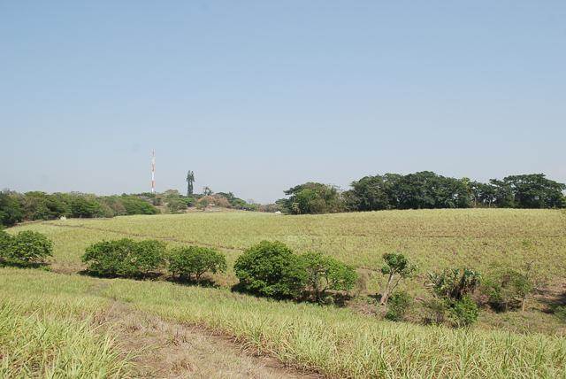 7 ha Land available in Umhlali photo number 1