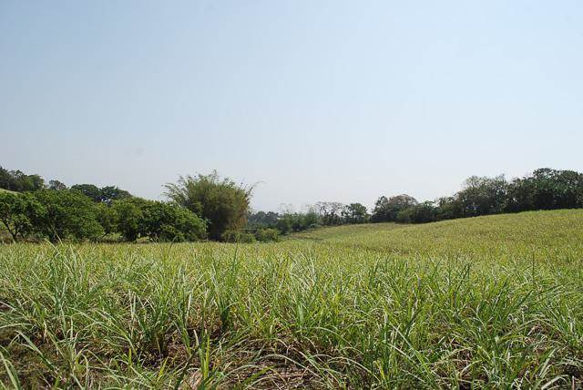 7 ha Land available in Umhlali photo number 9