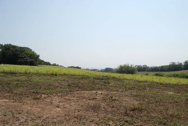 7 ha Land available in Umhlali photo number 11