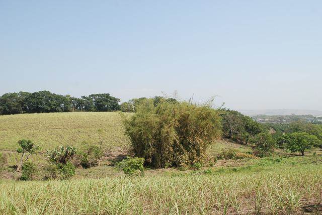 7 ha Land available in Umhlali photo number 8