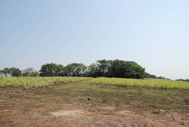 7 ha Land available in Umhlali photo number 12
