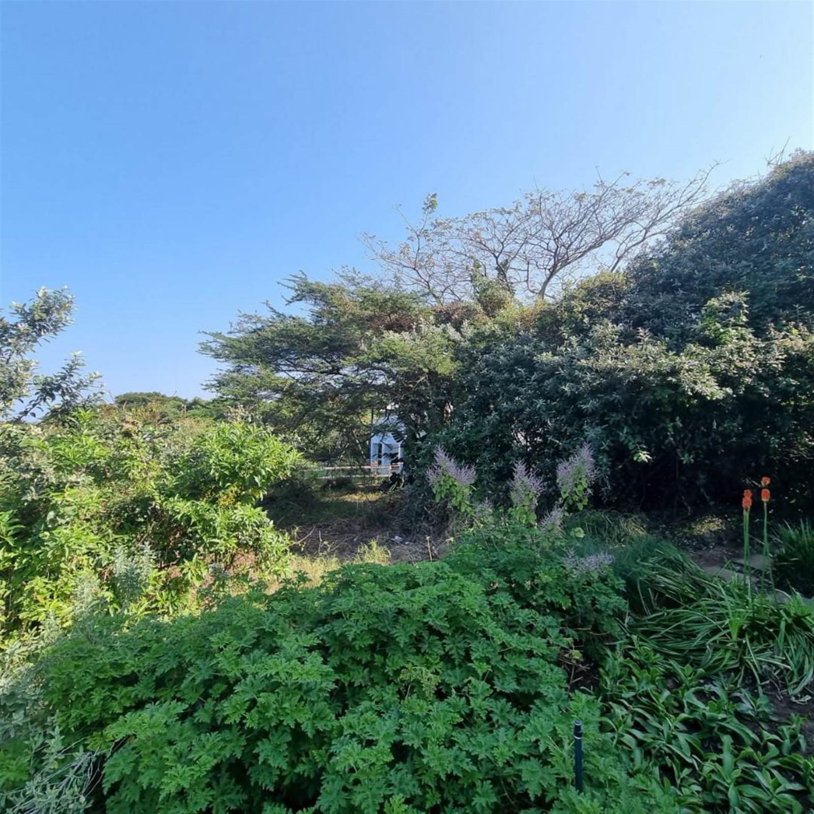 872 m² Land available in Princes Grant Golf Estate photo number 22