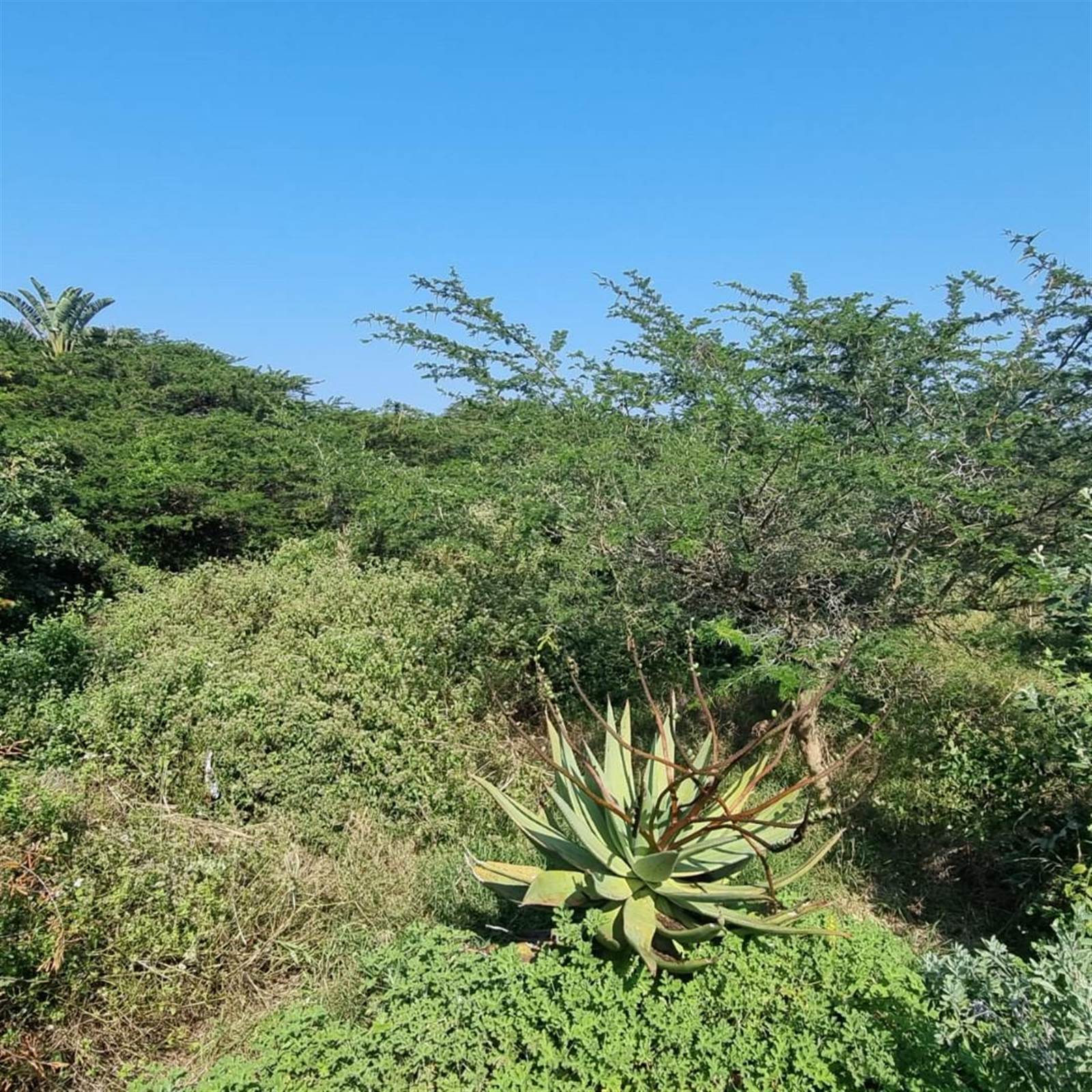 872 m² Land available in Princes Grant Golf Estate photo number 2