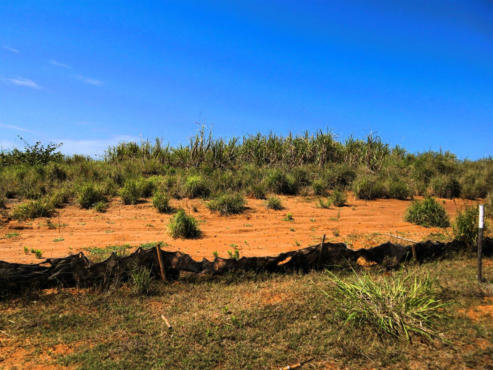827 m² Land available in Sibaya Precinct photo number 1