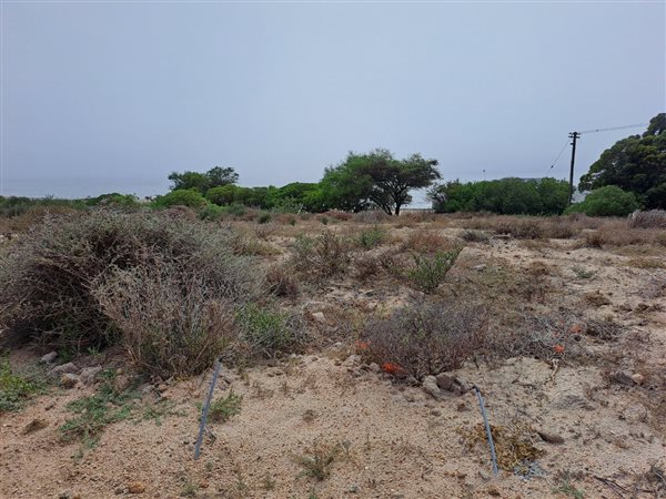 298 m² Land