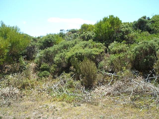 711 m² Land available in St Francis Bay photo number 5