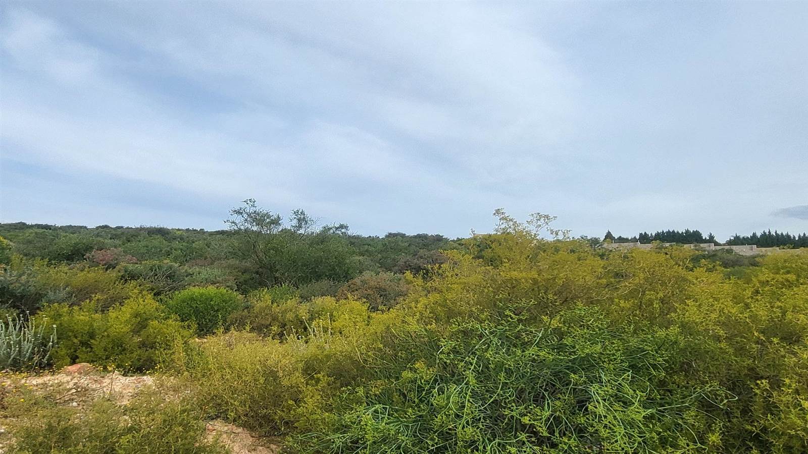 1500 m² Land available in Clanwilliam photo number 6