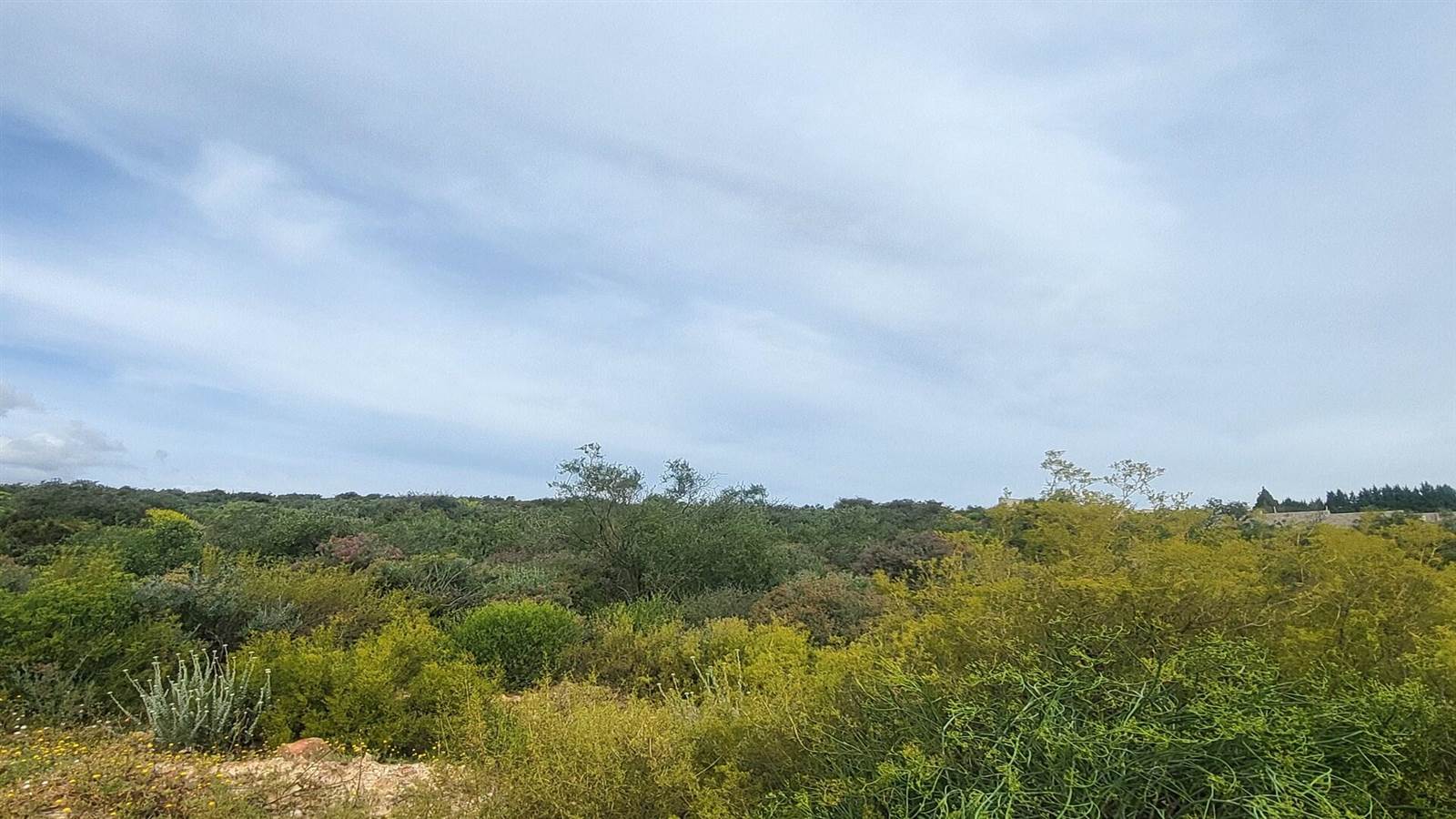 1500 m² Land available in Clanwilliam photo number 7