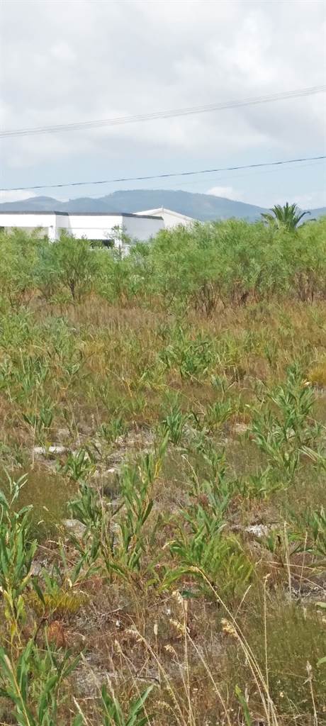 1256 m² Land available in Fisherhaven photo number 4