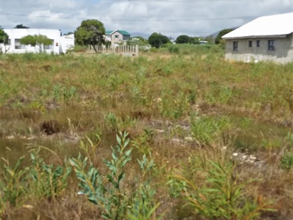 1256 m² Land available in Fisherhaven