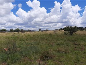 1 m² Land available in Leeuwfontein