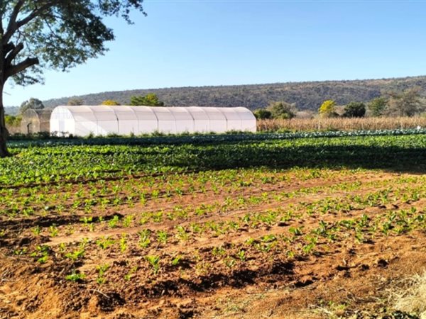 21 ha Farm 21 ha Farm