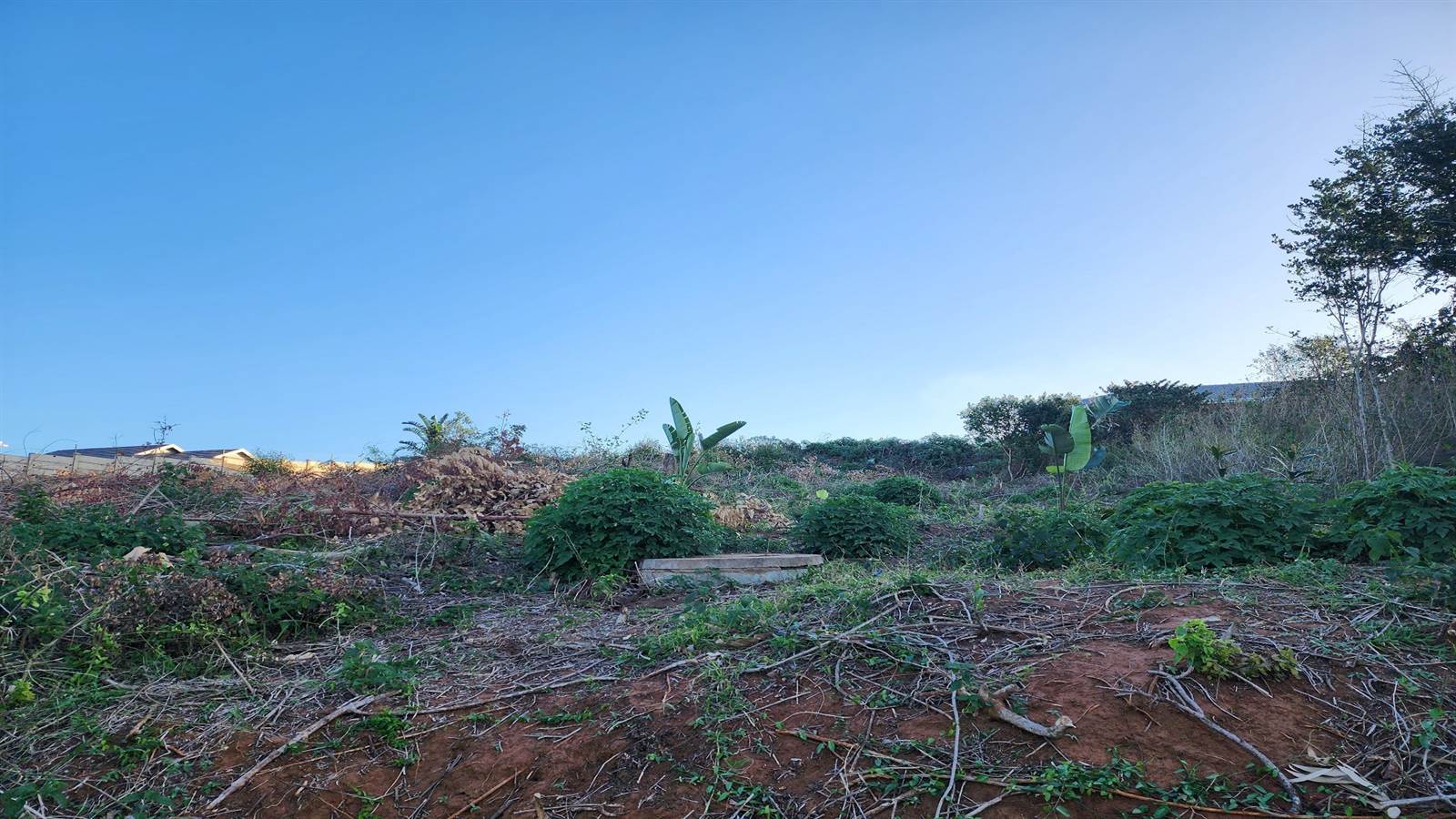 1471 m² Land available in Saiccor photo number 7