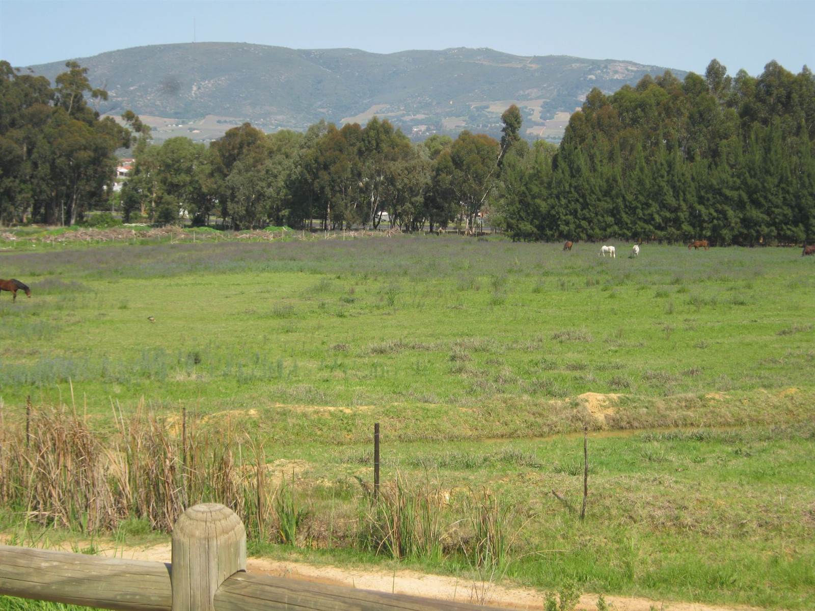3810 m² Land available in Wellington Central photo number 2
