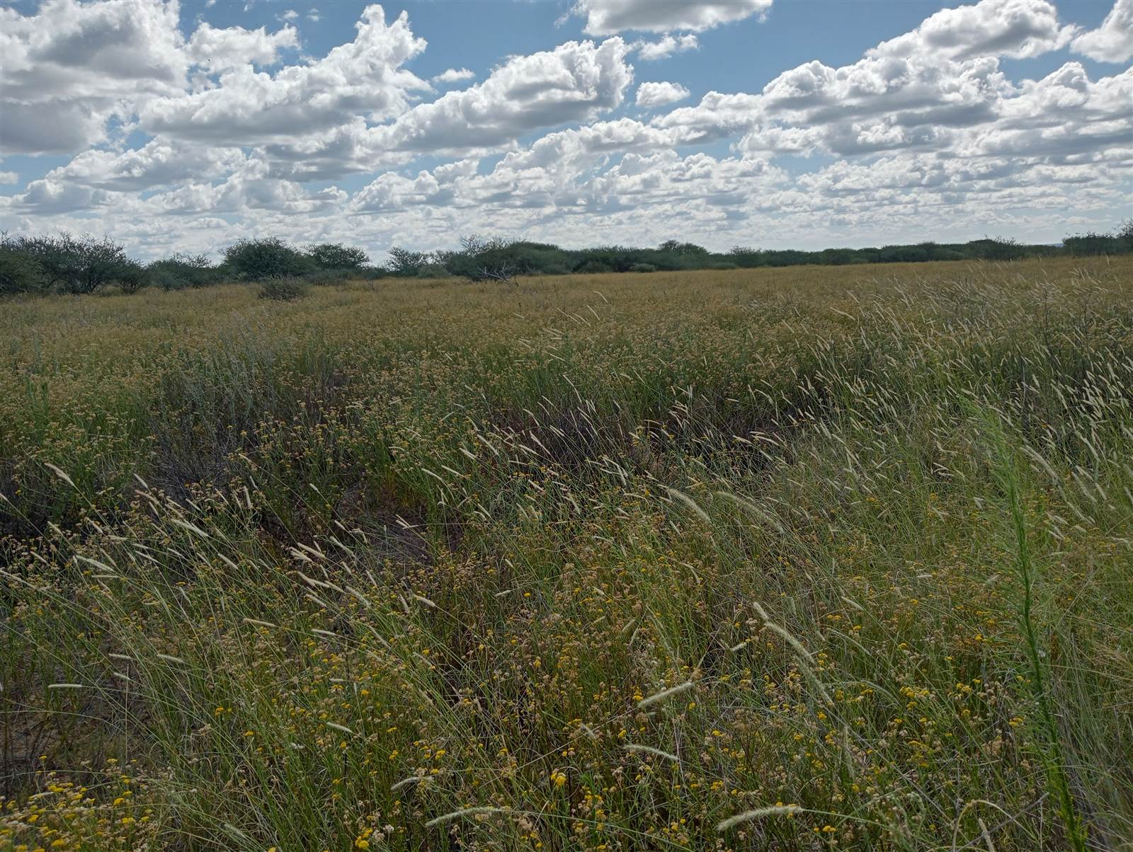 513.9 ha Farm in Barkly West photo number 1