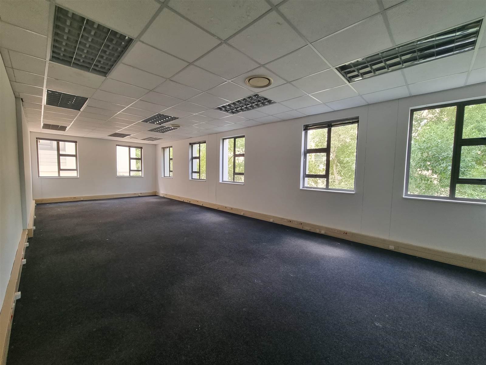 726  m² Commercial space in Gallo Manor photo number 10