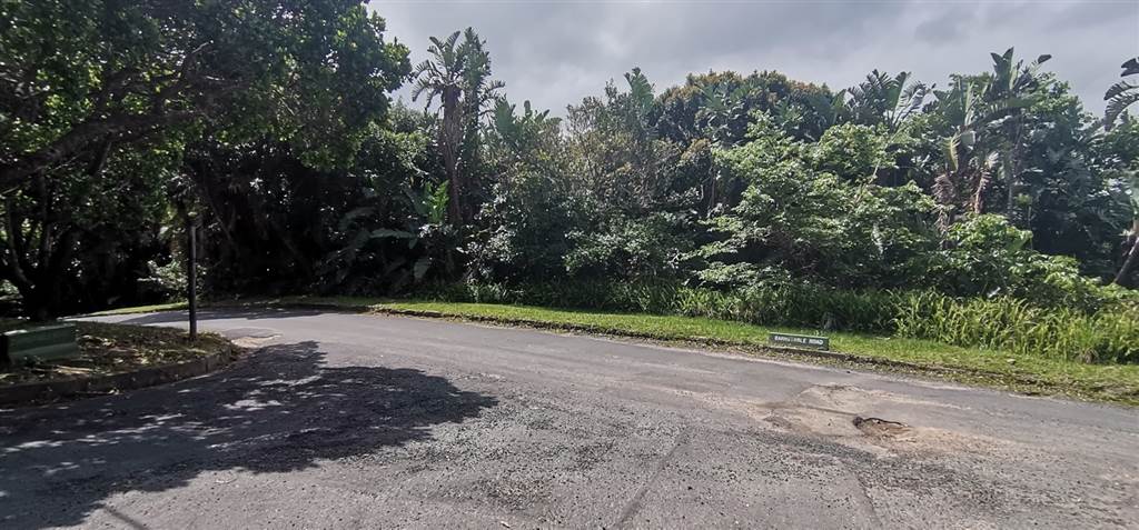 3171 m² Land available in Southbroom photo number 8