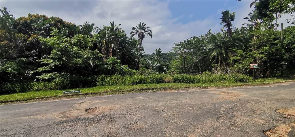 3171 m² Land available in Southbroom photo number 9
