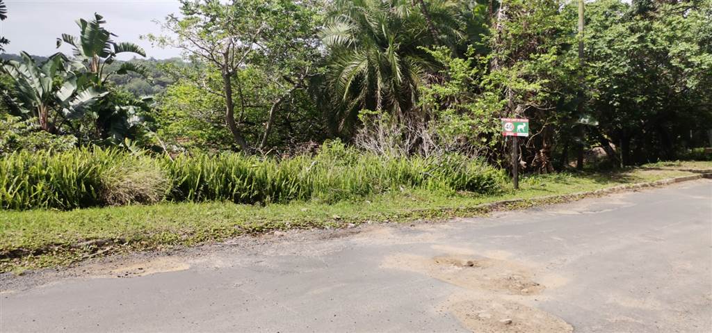 3171 m² Land available in Southbroom photo number 1