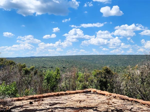 100 ha Land available in Mabalingwe Nature Reserve