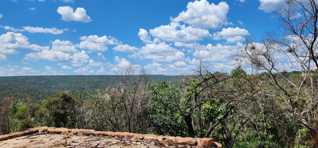 100 ha Land available in Mabalingwe Nature Reserve photo number 10
