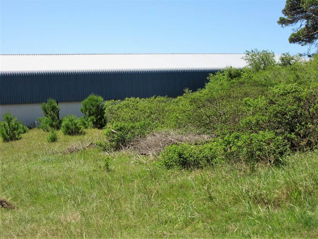 1800 m² Land available in East Bank photo number 3