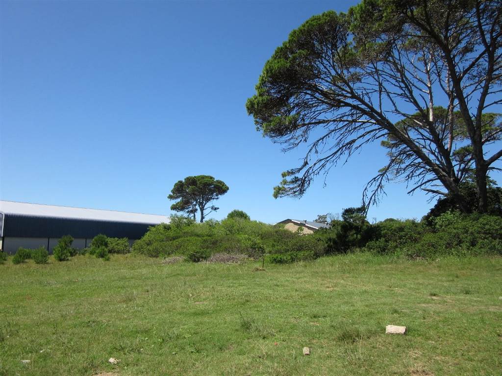 1800 m² Land available in East Bank photo number 6