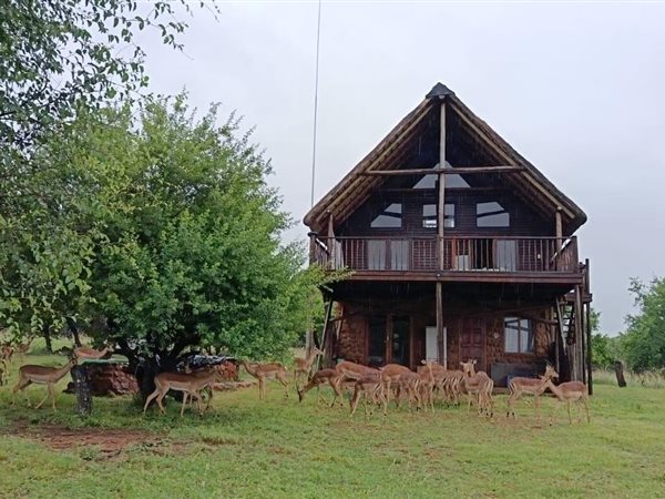 3 Bedroom House 3 Bedroom House