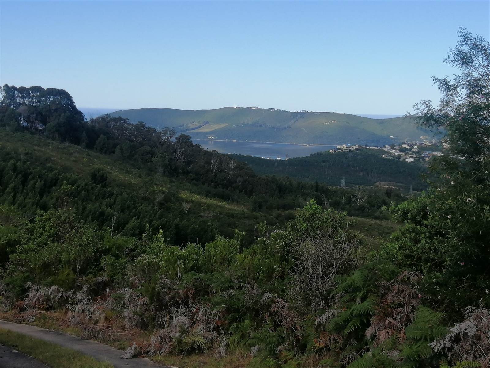 24.6 ha Land available in Knysna Central photo number 5