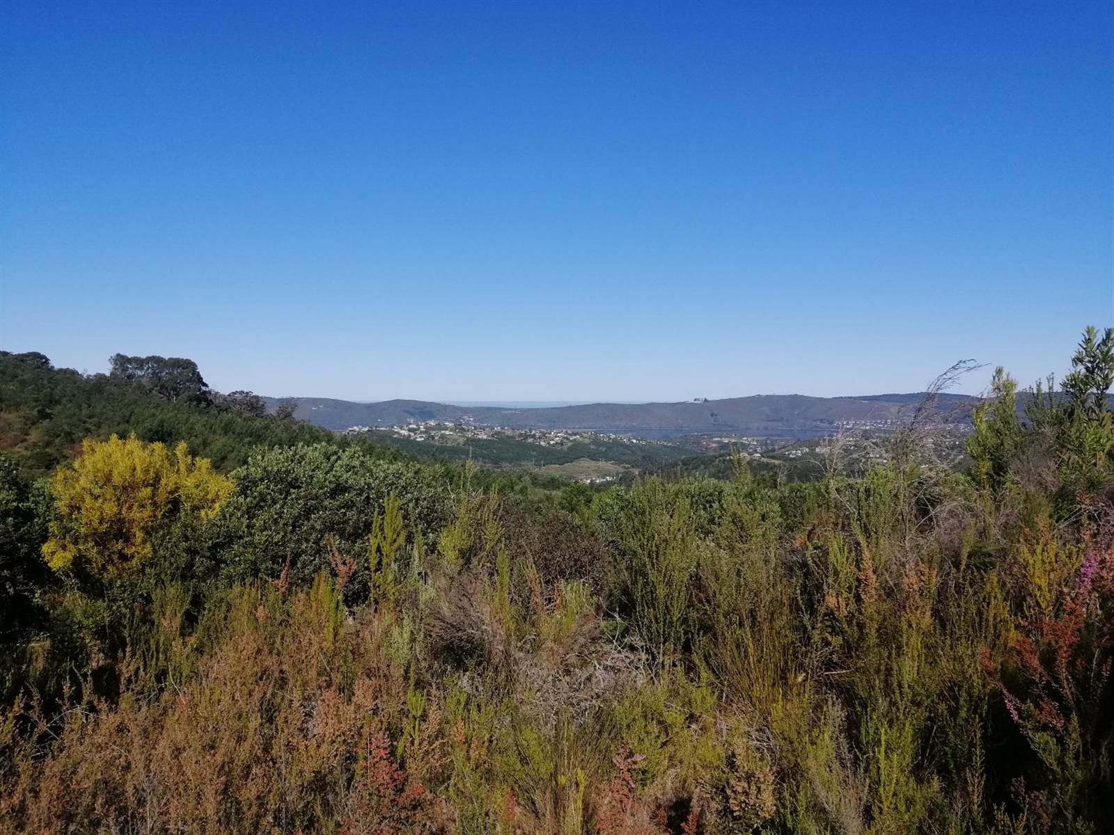 24.6 ha Land available in Knysna Central photo number 13