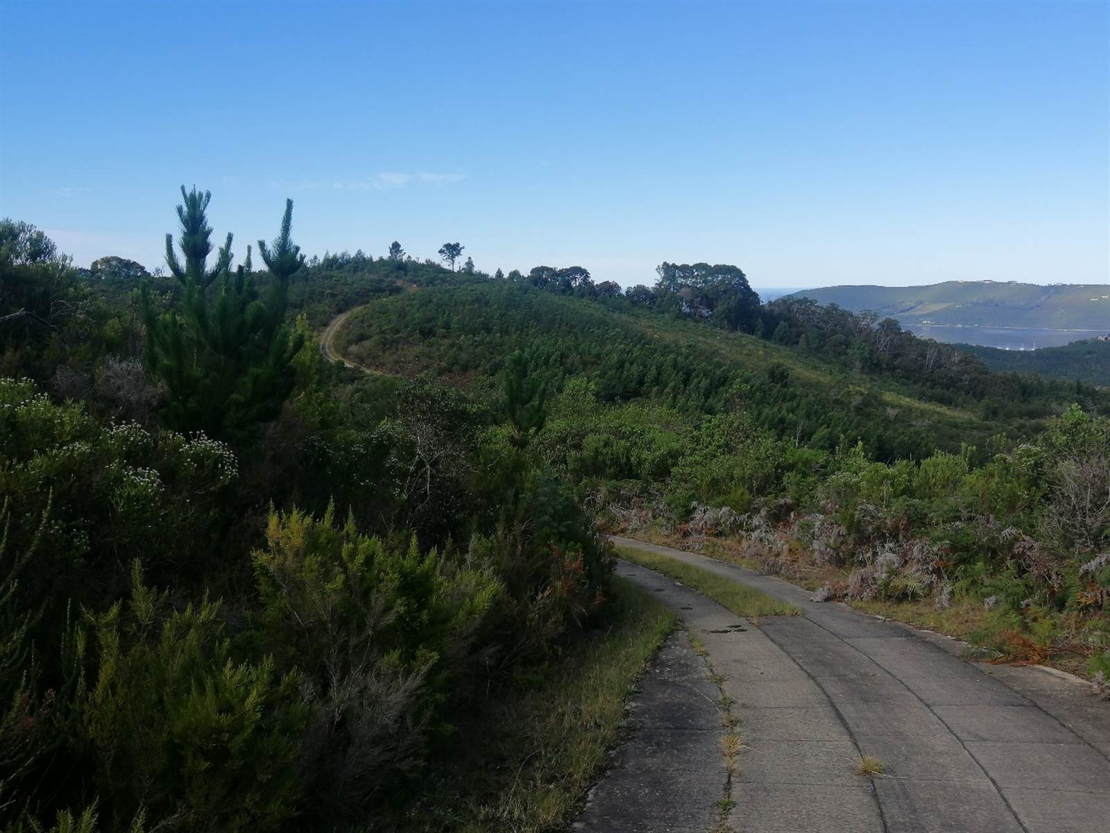 24.6 ha Land available in Knysna Central photo number 7