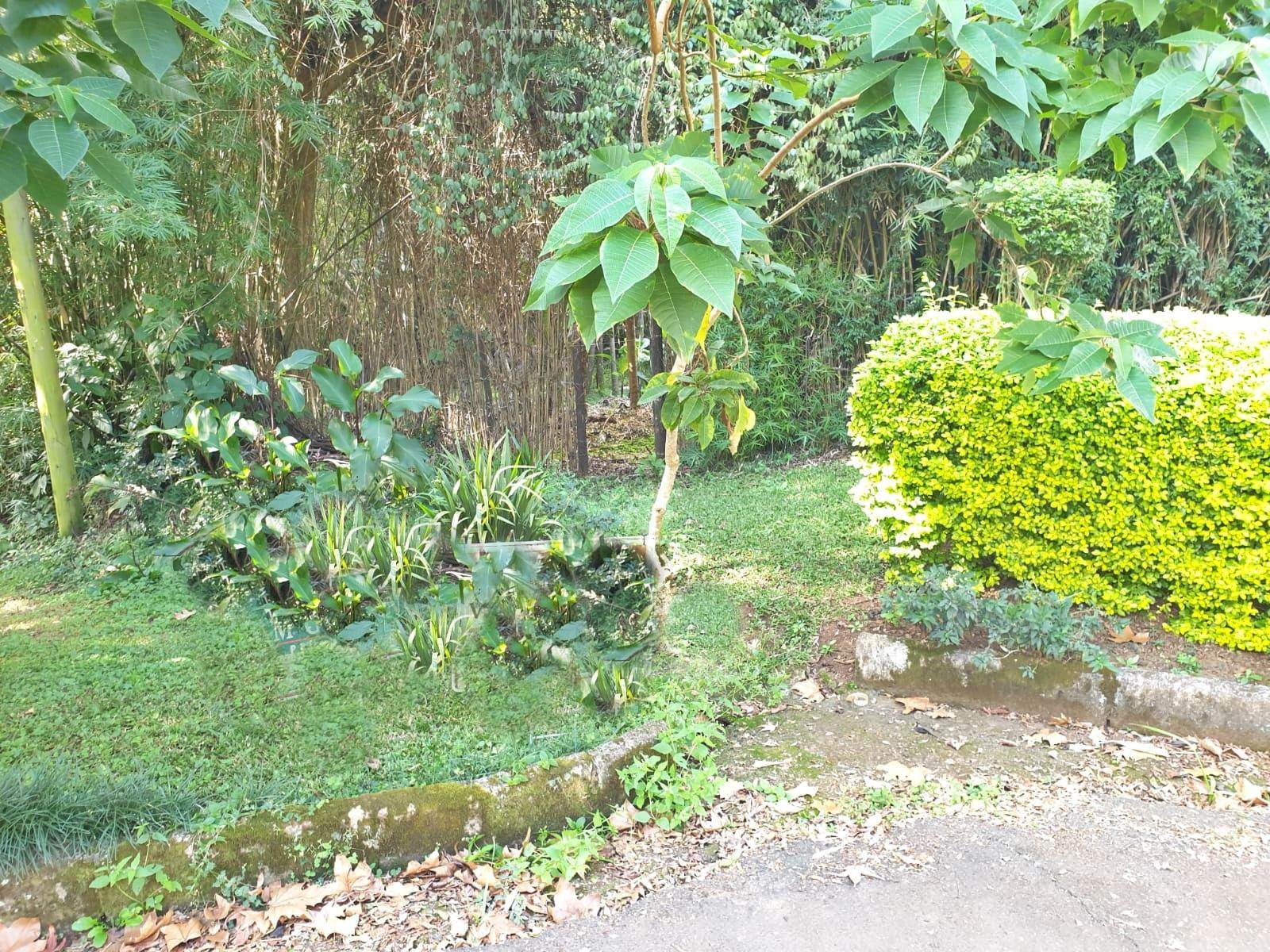 2040 m² Land available in Kloof photo number 7